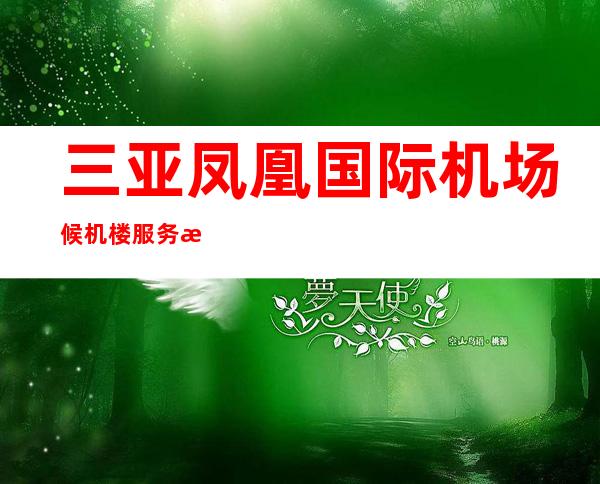 三亚凤凰国际机场候机楼服务有限公司机场分公司