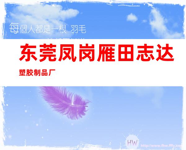 东莞凤岗雁田志达塑胶制品厂