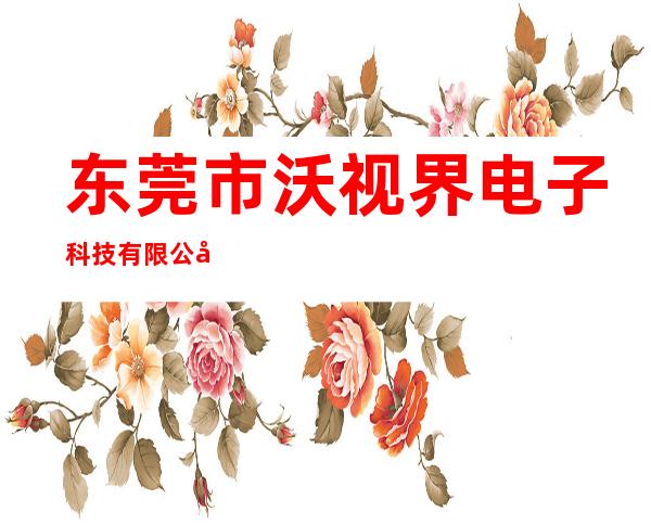 东莞市沃视界电子科技有限公司