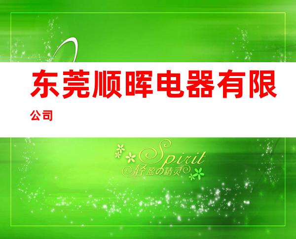 东莞顺晖电器有限公司