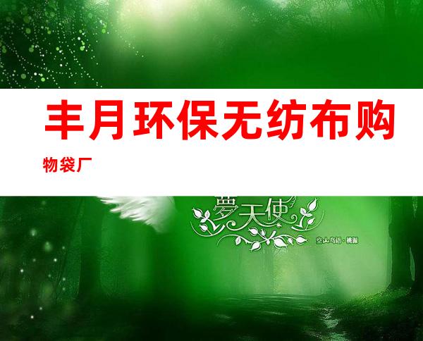 丰月环保无纺布购物袋厂