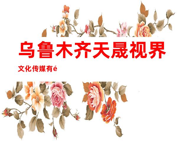 乌鲁木齐天晟视界文化传媒有限公司
