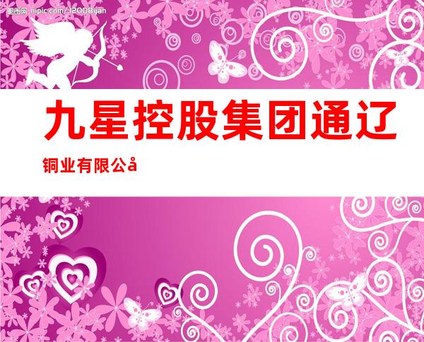 九星控股集团通辽铜业有限公司