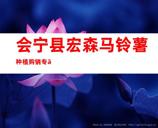 会宁县宏森马铃薯种植购销专业合作社