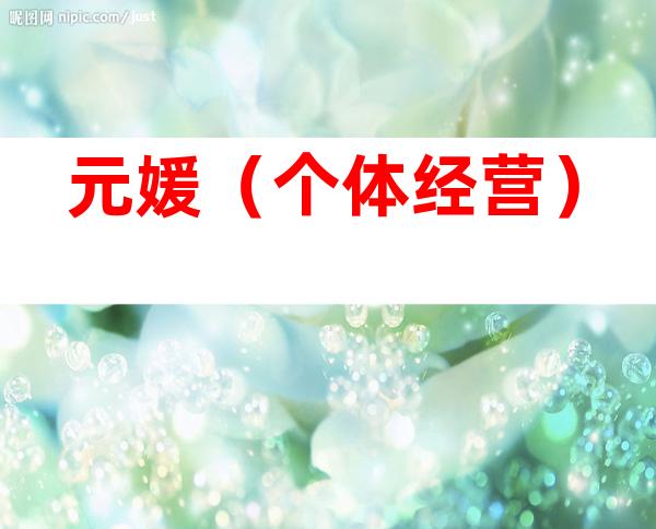 元媛（个体经营）