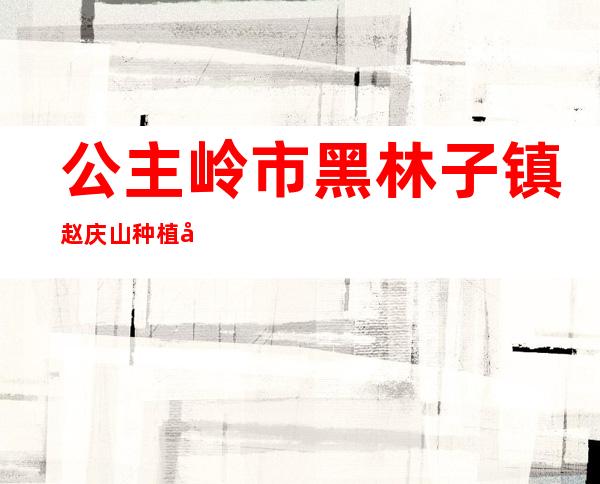 公主岭市黑林子镇赵庆山种植农民专业合作社