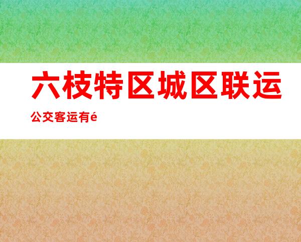 六枝特区城区联运公交客运有限公司