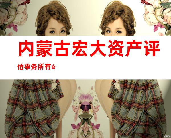 内蒙古宏大资产评估事务所有限责任公司