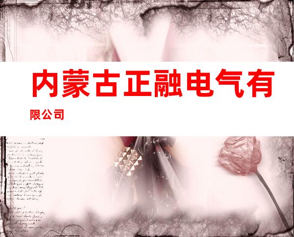 内蒙古正融电气有限公司