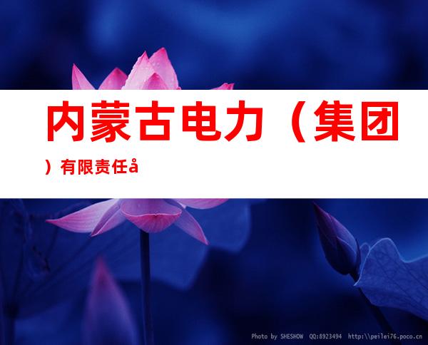 内蒙古电力（集团）有限责任公司内蒙古电力经济技术研究院分公司