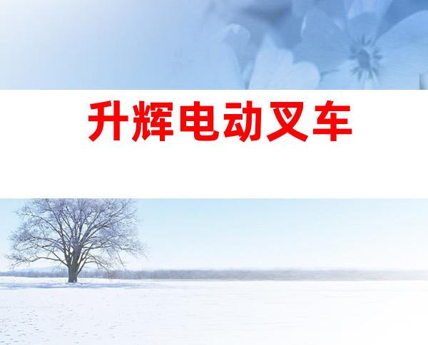 升辉电动叉车