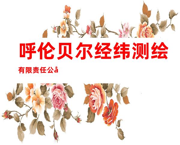 呼伦贝尔经纬测绘有限责任公司