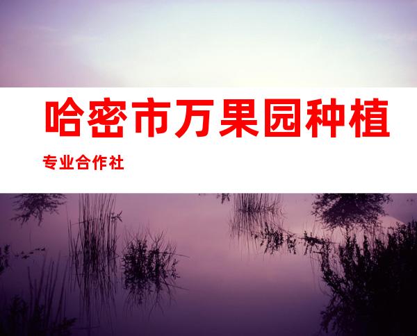 哈密市万果园种植专业合作社