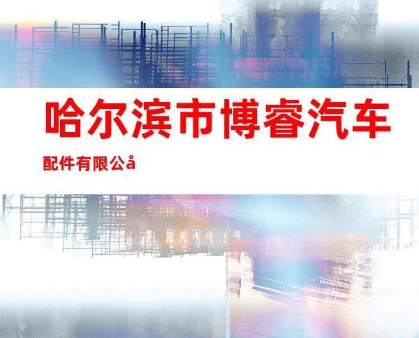 哈尔滨市博睿汽车配件有限公司