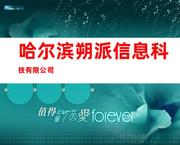 哈尔滨朔派信息科技有限公司