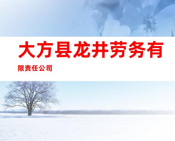 大方县龙井劳务有限责任公司