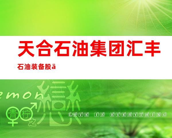 天合石油集团汇丰石油装备股份有限公司
