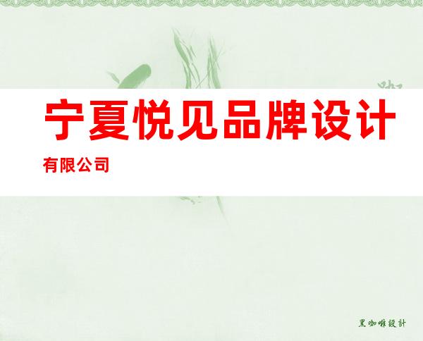 宁夏悦见品牌设计有限公司