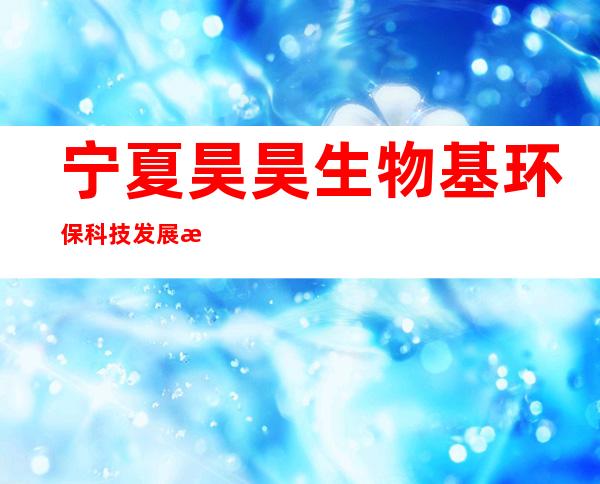 宁夏昊昊生物基环保科技发展有限公司