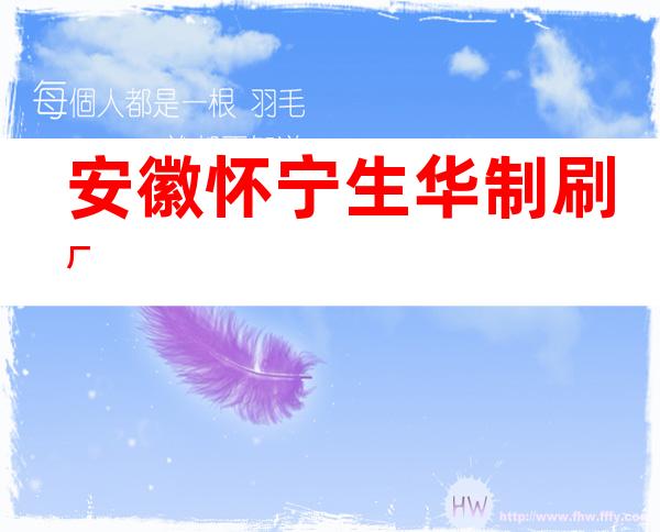 安徽怀宁生华制刷厂