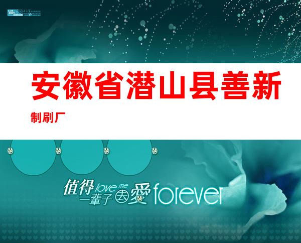 安徽省潜山县善新制刷厂