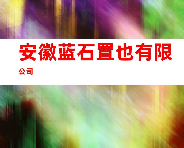 安徽蓝石置也有限公司