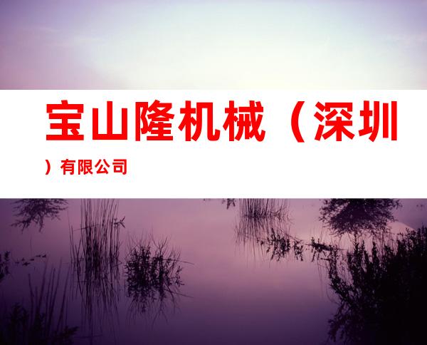宝山隆机械（深圳）有限公司