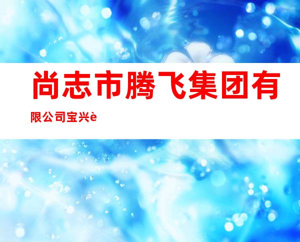 尚志市腾飞集团有限公司宝兴购物广场