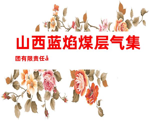 山西蓝焰煤层气集团有限责任公司