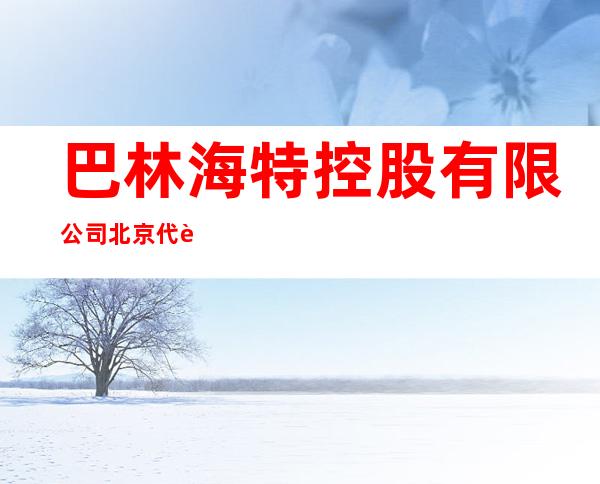 巴林海特控股有限公司北京代表处