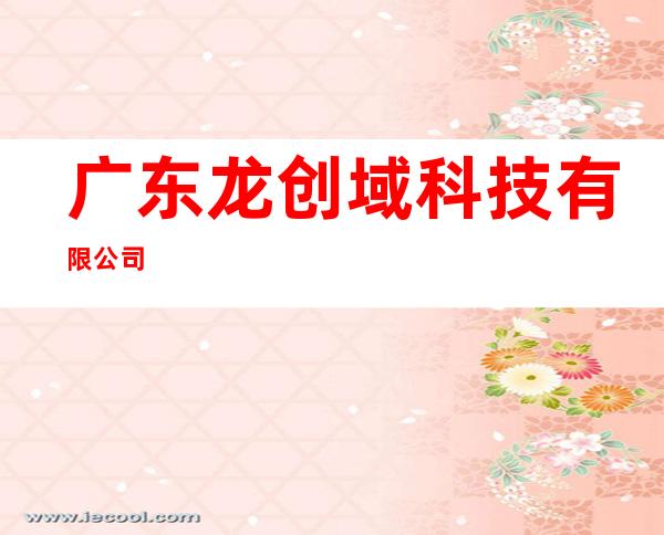 广东龙创域科技有限公司