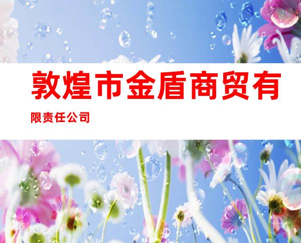 敦煌市金盾商贸有限责任公司
