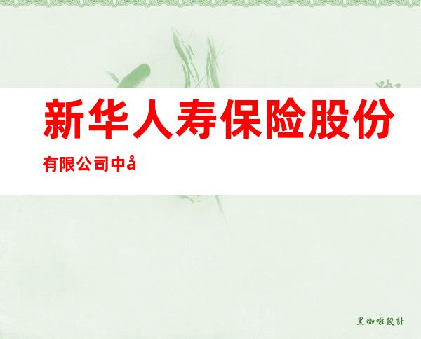 新华人寿保险股份有限公司中山中心公司