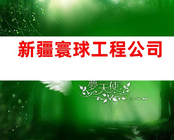 新疆寰球工程公司