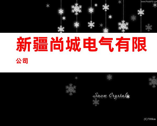 新疆尚城电气有限公司