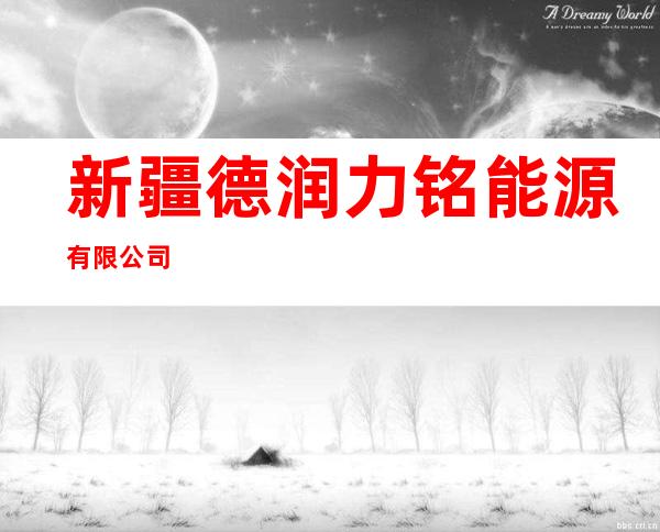 新疆德润力铭能源有限公司
