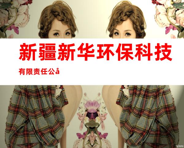 新疆新华环保科技有限责任公司