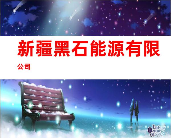 新疆黑石能源有限公司
