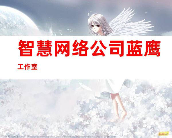 智慧网络公司蓝鹰工作室