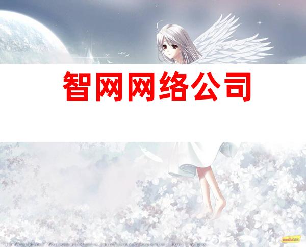 智网网络公司