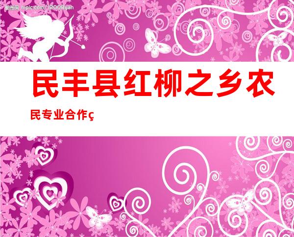 民丰县红柳之乡农民专业合作社