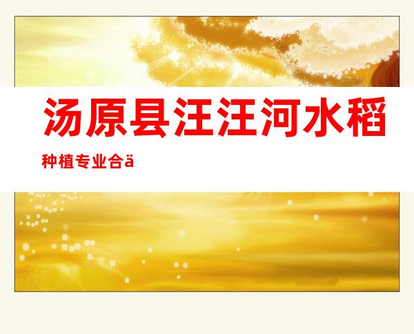 汤原县汪汪河水稻种植专业合作社