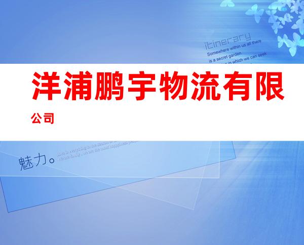 洋浦鹏宇物流有限公司