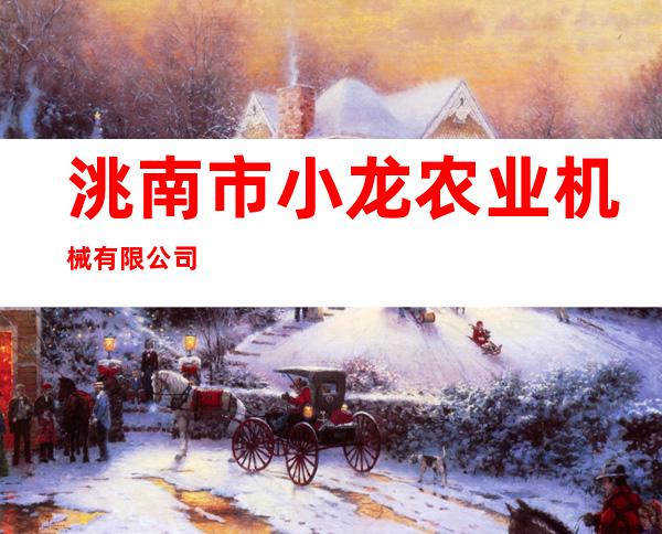 洮南市小龙农业机械有限公司