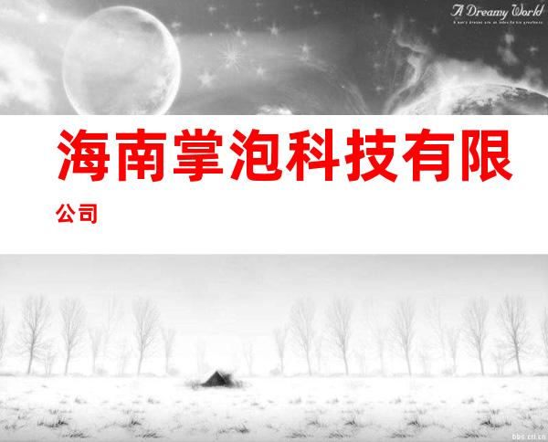 海南掌泡科技有限公司