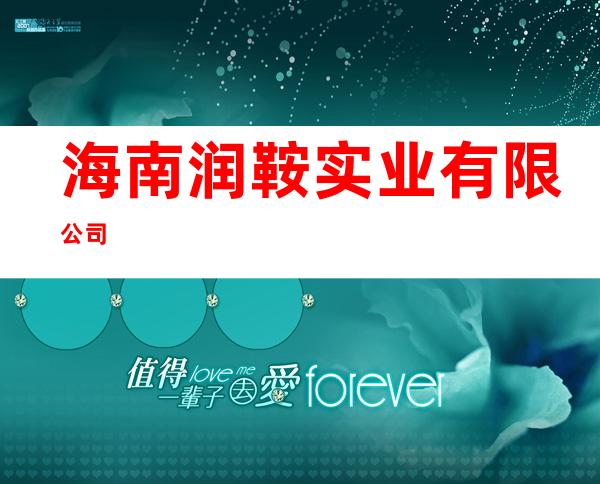 海南润鞍实业有限公司
