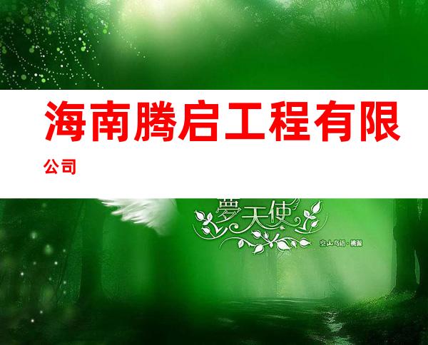 海南腾启工程有限公司