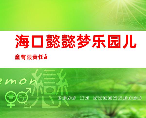 海口懿懿梦乐园儿童有限责任公司