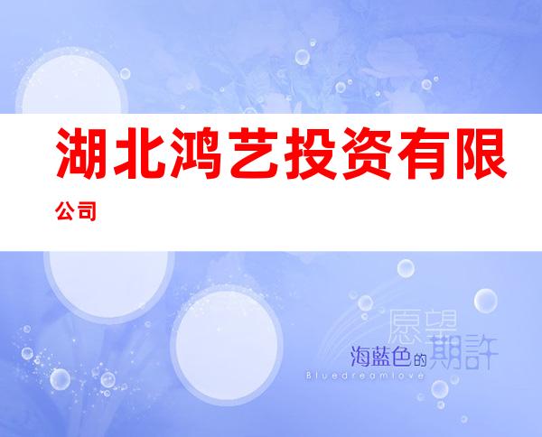 湖北鸿艺投资有限公司