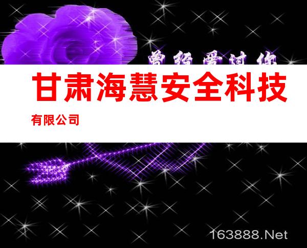甘肃海慧安全科技有限公司